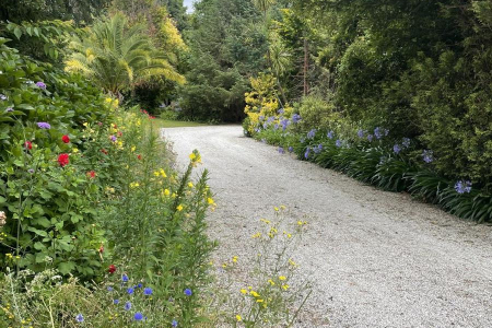 Wild Flower Drive way